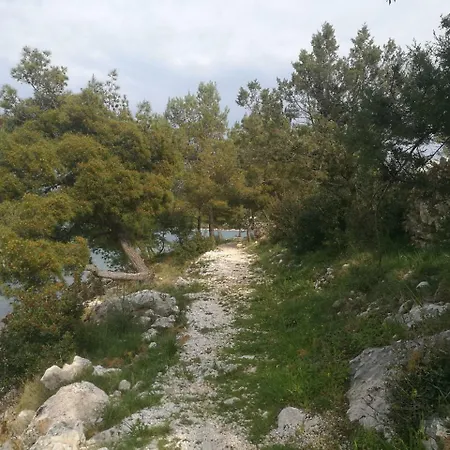 Palada *