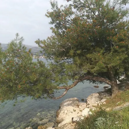 Palada Марина